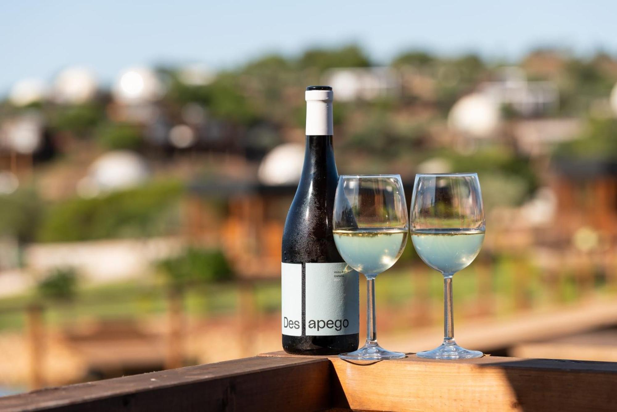 Wecamp Reserva Alecrim 산티아고도카쎔 외부 사진